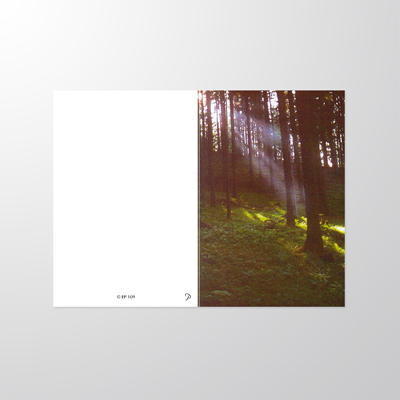 EP109P | Sterbebilder | Wald | Papyrello