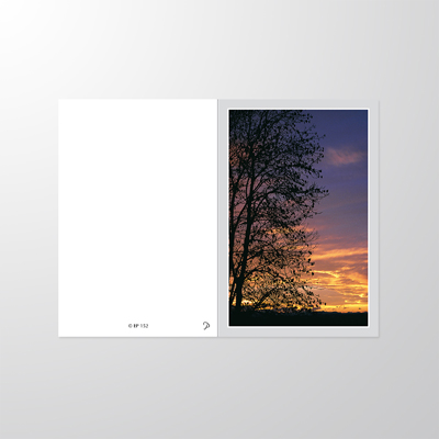 EP152P | Sterbebilder | Sonnenuntergang | Papyrello