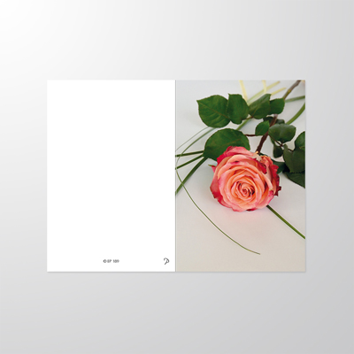 EP189P | Sterbebilder | Rose | Papyrello
