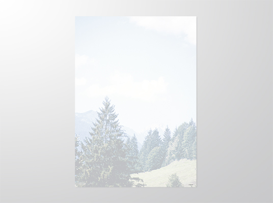 EP9042-A4 | Parte | Weide mit Wald | 4-färbig